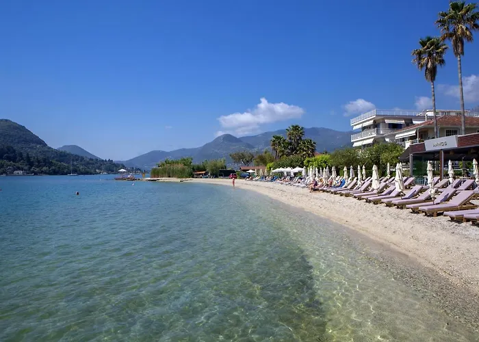 Edward Art Boutique Szálloda